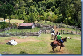 3 Reiter bergab reitend auf  2 Tages Reittour Pucon, Chile